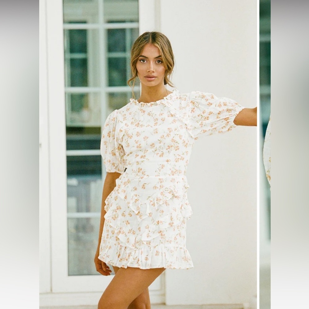 NWT SABO Skirt Gisele Dress (Petite)